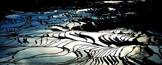 beautiful china